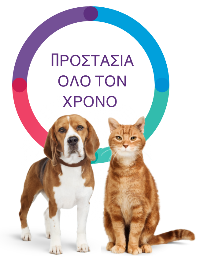 Προστατέψτε το κατοικίδιό σας όλο τον χρόνο από ψύλλους και κρότωνες