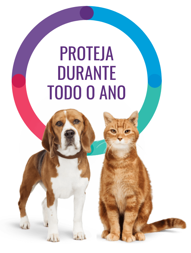 Proteja o Seu Animal de Pulgas e Carraças Durante Todo o Ano